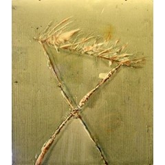 Obrázek Oldřich Tichý - Vítr