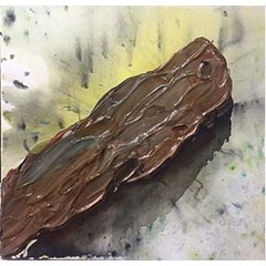 Obrázek Jiří David - Poleno