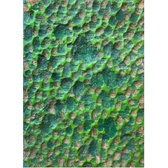 Obrázek František Hodonský - Ve tmách zelených