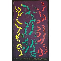 Obrázek František Hodonský - J. Haydn - Bouře a vzdor