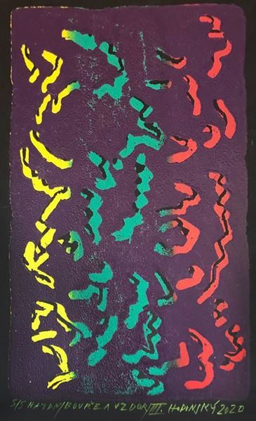 Obrázek z František Hodonský - J. Haydn - Bouře a vzdor 