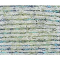 Obrázek Jan Svoboda - Třináct bílých pruhů