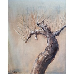 Obrázek Oldřich Tichý - Vrba