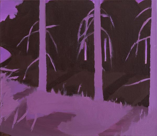 Obrázek z Petr Gruber - Les 