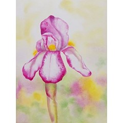 Obrázek Eva Pejchalová - Kosatec