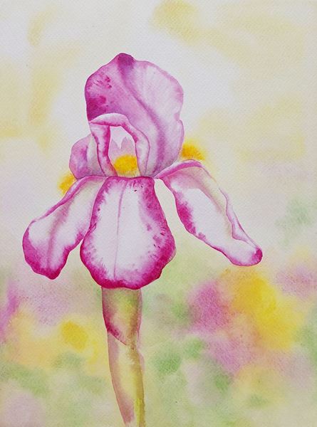 Obrázek z Eva Pejchalová - Kosatec 