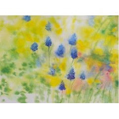 Obrázek Eva Pejchalová - Modřence